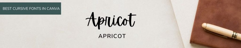 Apricot font in Canva and Best Cursive canva fonts