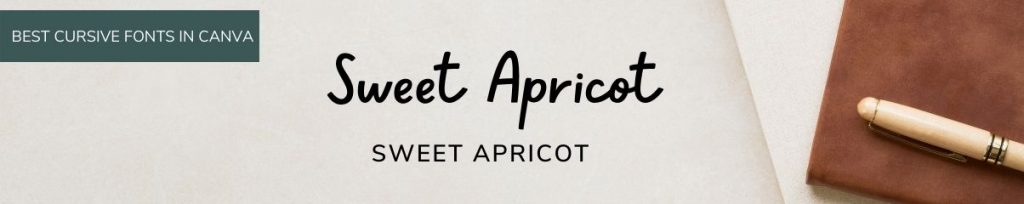 Sweet Apricot font in Canva and Best Cursive canva fonts-