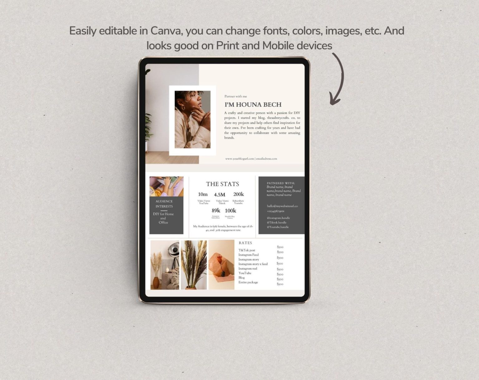 Blogger Media Kit Template Canva | Mia